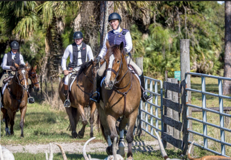 HorseID: 2311483 Duke - PhotoID: 1096364