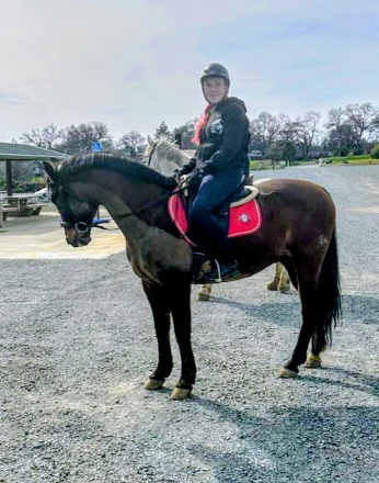 HorseID: 2311500 Bruno Mars - PhotoID: 1096464