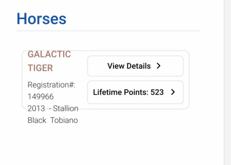 HorseID: 2311528 The Galactic Tiger PEC - PhotoID: 1096406