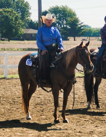 HorseID: 2311549 Shineabitoclass - PhotoID: 1096457