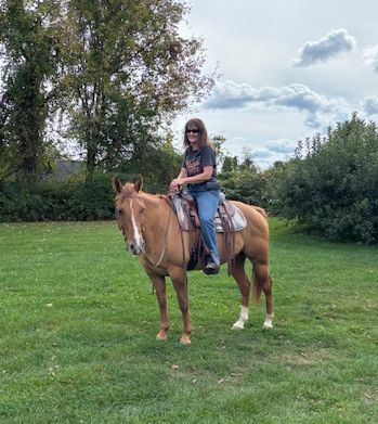 HorseID: 2311579 Copper Doodle Doc - PhotoID: 1096477