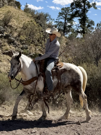 HorseID: 2311589 Tonto - PhotoID: 1096490