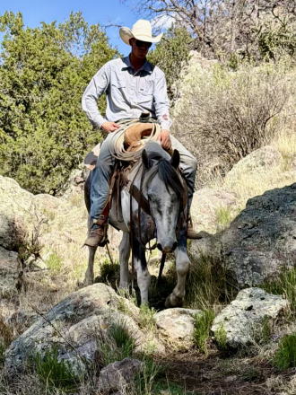 HorseID: 2311589 Tonto - PhotoID: 1096491