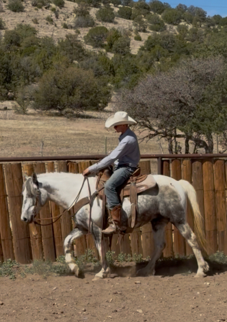 HorseID: 2311589 Tonto - PhotoID: 1096492