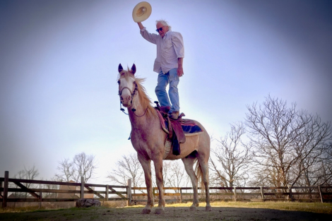 HorseID: 2311592 Sweet Strawberry Sensation - PhotoID: 1096497