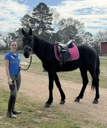 HorseID: 2311598 Prince - PhotoID: 1096509