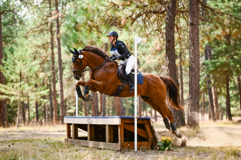 HorseID: 2311605 Flyinghailmary - PhotoID: 1096516