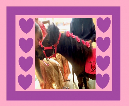 HorseID: 2311614 Kisses - PhotoID: 1096523