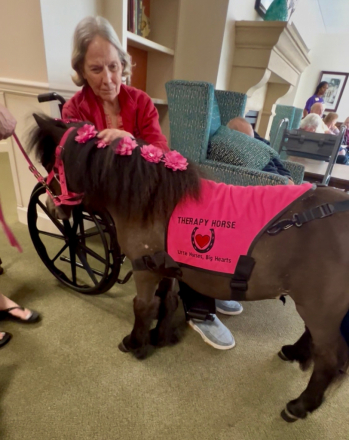 HorseID: 2311614 Kisses - PhotoID: 1096524