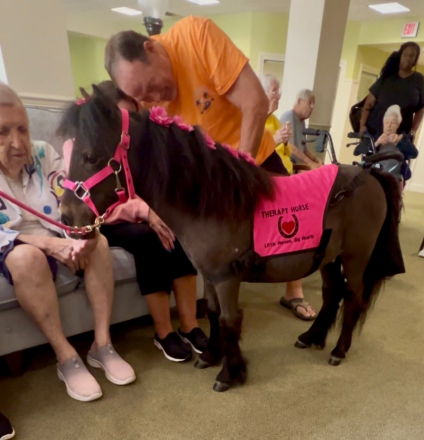 HorseID: 2311614 Kisses - PhotoID: 1096525