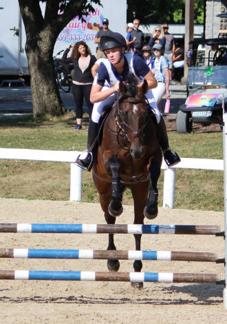 HorseID: 2311617 Battle at Sea - PhotoID: 1097098