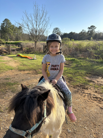 HorseID: 2311622 Abu and rajah - PhotoID: 1097094