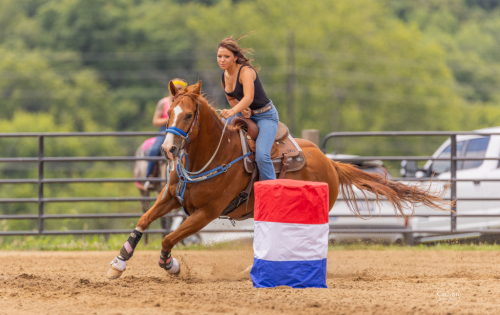 HorseID: 2311642 AM SECRET PAYOFF - PhotoID: 1096545