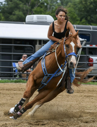 HorseID: 2311642 AM SECRET PAYOFF - PhotoID: 1096546