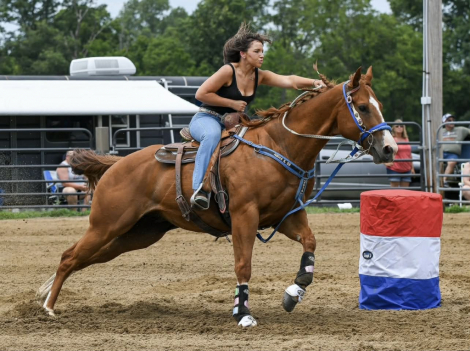 HorseID: 2311642 AM SECRET PAYOFF - PhotoID: 1096547