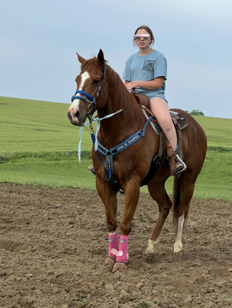 HorseID: 2311642 AM SECRET PAYOFF - PhotoID: 1096548