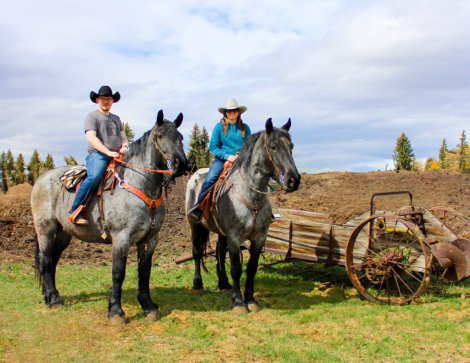 HorseID: 2311654 BLIZZ & FROST - PhotoID: 1096558