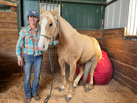 HorseID: 2311657 SHES A GOLDEN DUALLY - PhotoID: 1096567