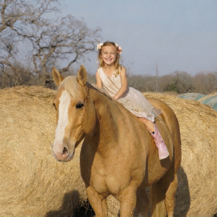 HorseID: 2311669 SHES A GOLDEN DUALLY - PhotoID: 1096569