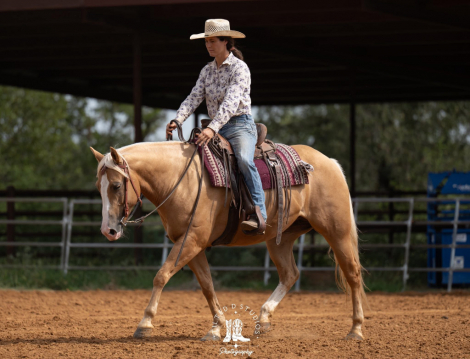 HorseID: 2311669 SHES A GOLDEN DUALLY - PhotoID: 1096572