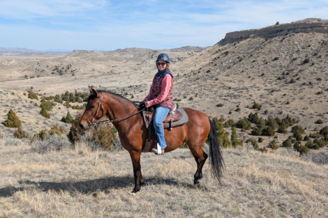 HorseID: 2311678 Devocao Do Saint Horse - PhotoID: 1096596