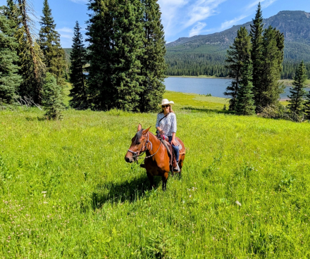 HorseID: 2311678 Devocao Do Saint Horse - PhotoID: 1096597