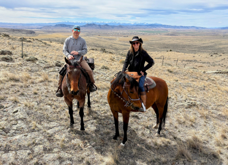 HorseID: 2311678 Devocao Do Saint Horse - PhotoID: 1096598