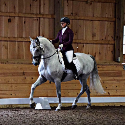 HorseID: 2311694 Don Galante - PhotoID: 1096630