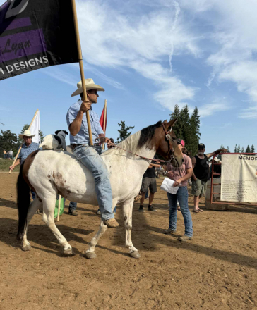 HorseID: 2311695 Lucy - PhotoID: 1096671