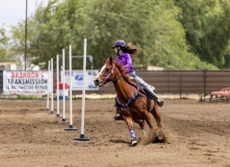 HorseID: 2311705 Pocos Valley View Forest - PhotoID: 1096635