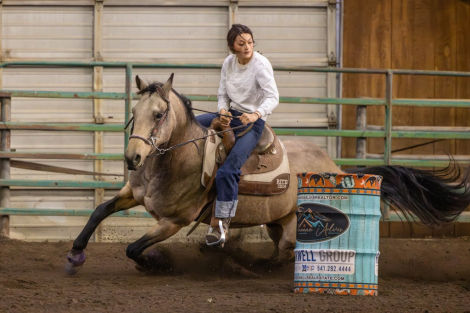 HorseID: 2311713 Future Jac Lighting - PhotoID: 1096641