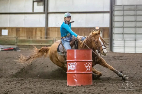 HorseID: 2311713 Shooting Fast - PhotoID: 1096641