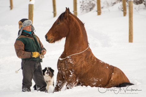 HorseID: 2311717 Easy - PhotoID: 1096648