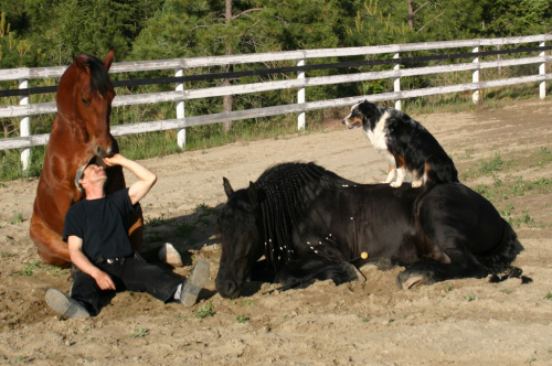 HorseID: 2311717 Easy - PhotoID: 1096649