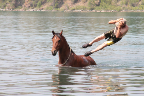 HorseID: 2311717 Easy - PhotoID: 1096651