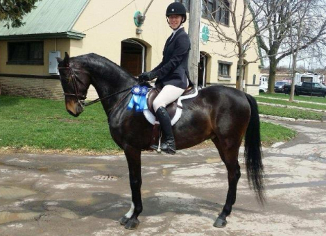 HorseID: 2311719 A Knights Legacy VVF - PhotoID: 1096687