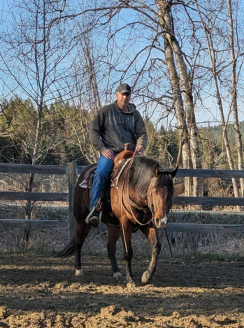 HorseID: 2311726 Docs Hollywood Cutter - PhotoID: 1096662