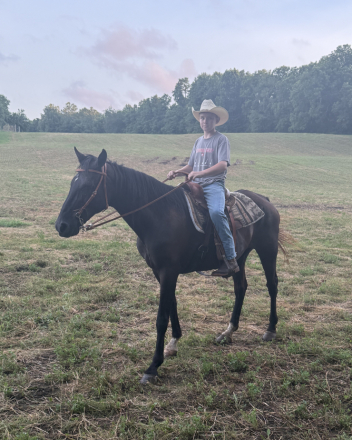 HorseID: 2311727 Jane - PhotoID: 1096656