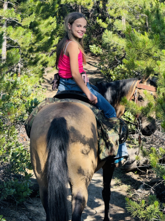 HorseID: 2311734 JJ DOC HOLLIE - PhotoID: 1096660