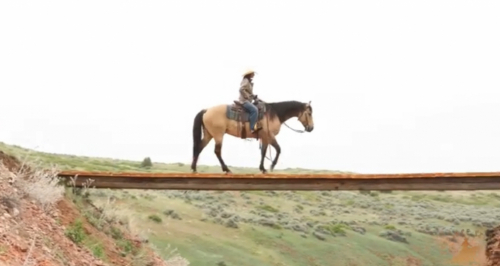 HorseID: 2311737 EG JESSE BOY - PhotoID: 1096668