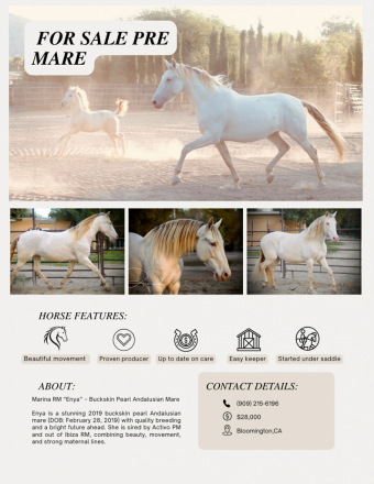 HorseID: 2311744 Marina RM - PhotoID: 1096673