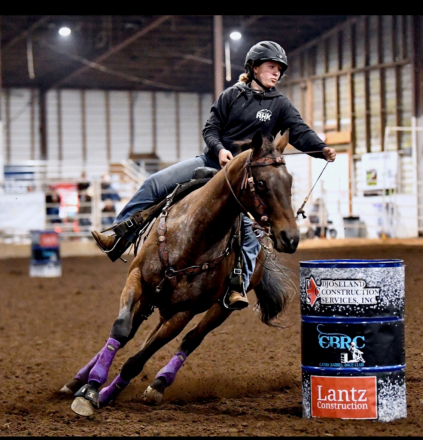 HorseID: 2311771 Rosies Queen - PhotoID: 1096698