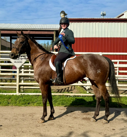 HorseID: 2311771 Rosies Queen - PhotoID: 1096699