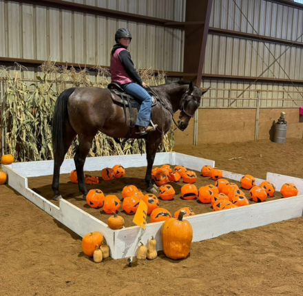 HorseID: 2311771 Rosies Queen - PhotoID: 1096700