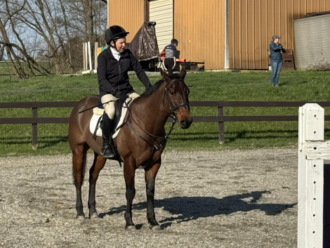 HorseID: 2311782 Wilson - PhotoID: 1096726