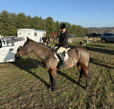 HorseID: 2311782 Wilson - PhotoID: 1096727