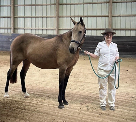 HorseID: 2311789 Fortunata DEM - PhotoID: 1096733