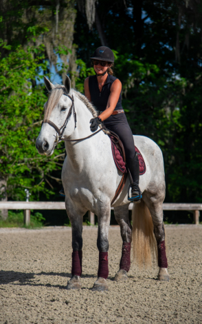 HorseID: 2311793 Picture Perfect XRAYS ON FILE - PhotoID: 1096738