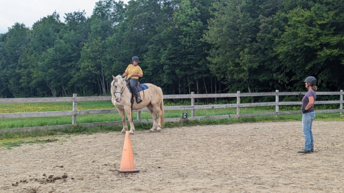 HorseID: 2311819 Lockhart - PhotoID: 1096769
