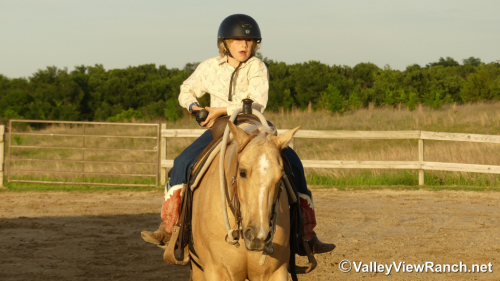 HorseID: 2311854 Smart Lokota Chic - PhotoID: 1096818